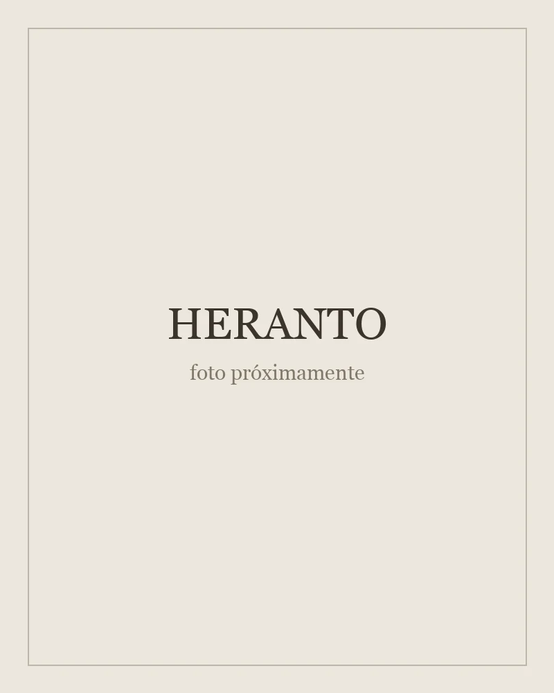HERANTO Travel Bag